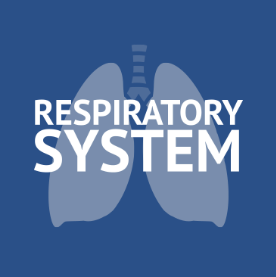 respiratory-1
