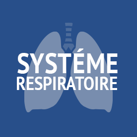 sistema-respiratorio